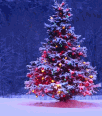 rain-mega-christmas-backgrounds-0037