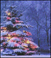 rain-mega-christmas-backgrounds-0134