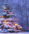 rain-mega-christmas-backgrounds-0148