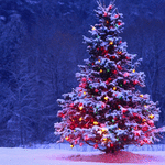 rain-ultra-christmas-backgrounds-0161