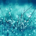 rain-ultra-backgrounds-0368