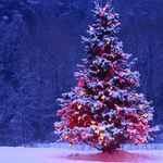 rain-ultra-christmas-backgrounds-0139