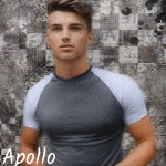 apollo4090523