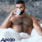 apollo6090523