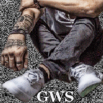 gws011724